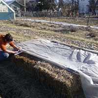 Agricultural & Planting - Plastic Poly Sheeting Example