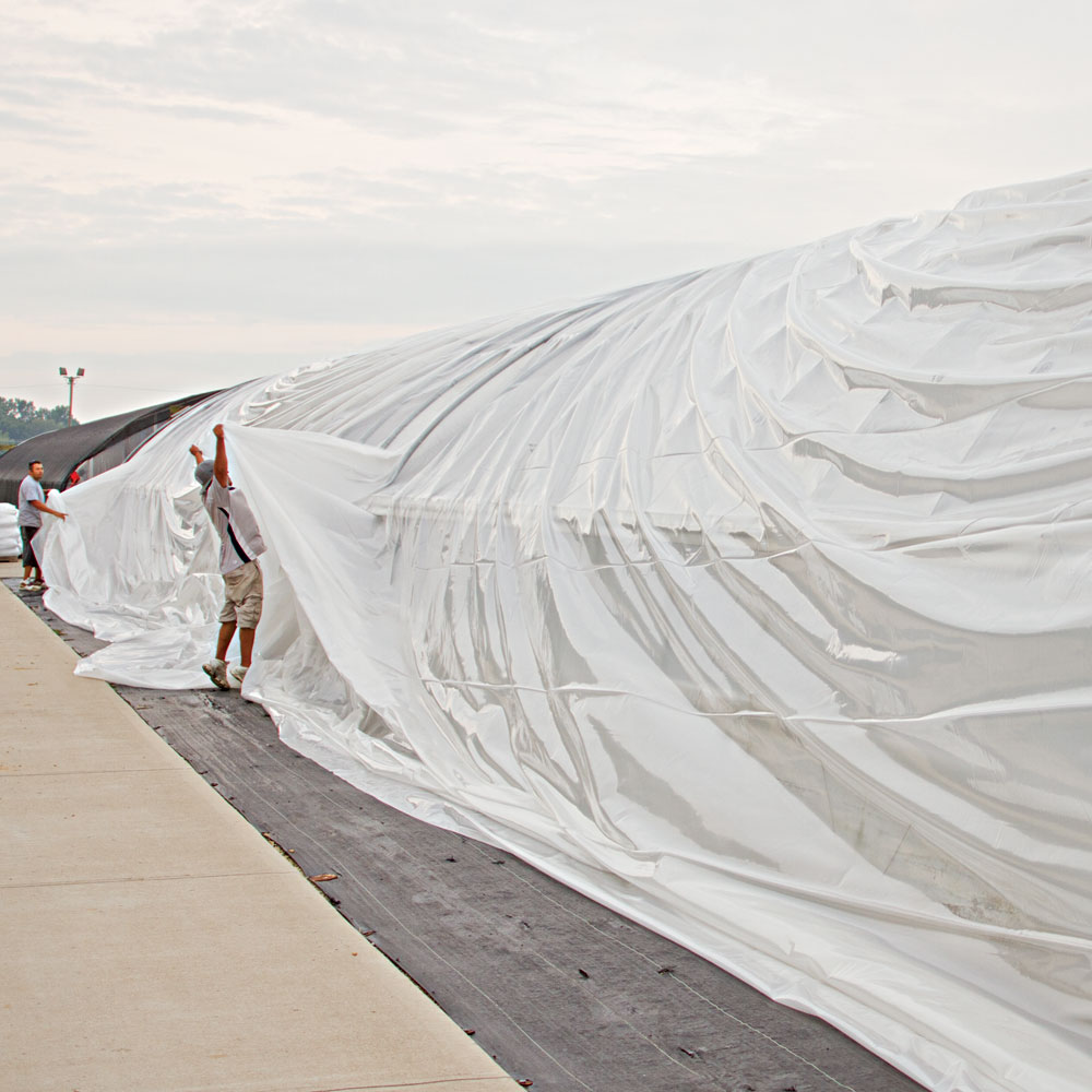 6 Mil Clear Plastic Sheeting, String Reinforced